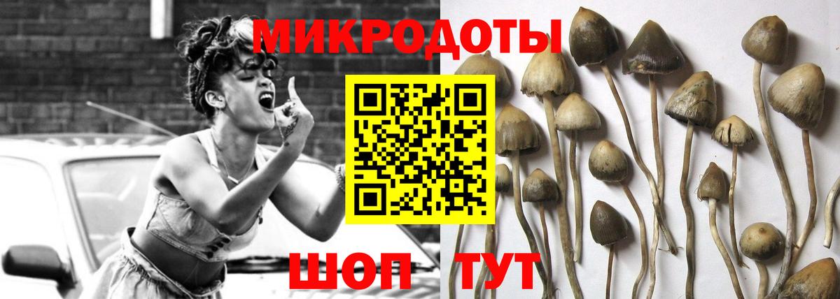 Псилоцибиновые грибы ЛСД  Вход с VPN  Галлюциногенные грибы Psilocybine cubensis  Михайловск 